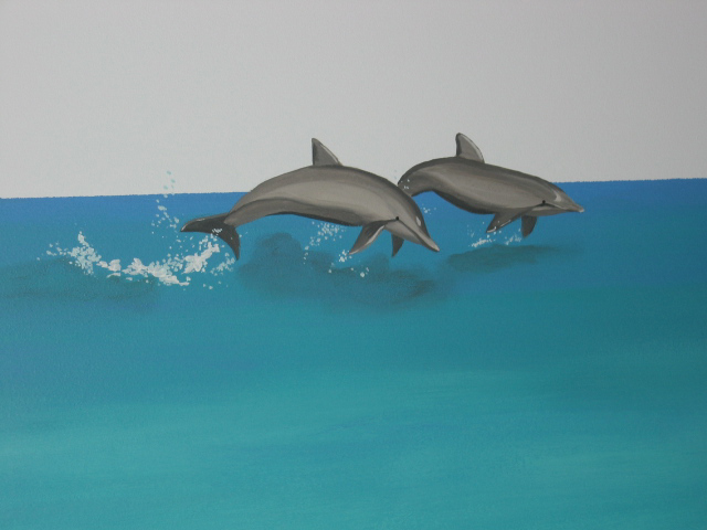 dolphins