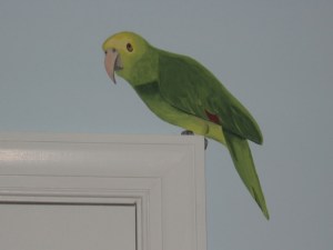 parrot